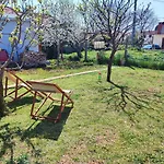 Marijano * Zadar